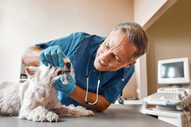Best Emergency Wisdom Teeth Removal in Toccoa, GA